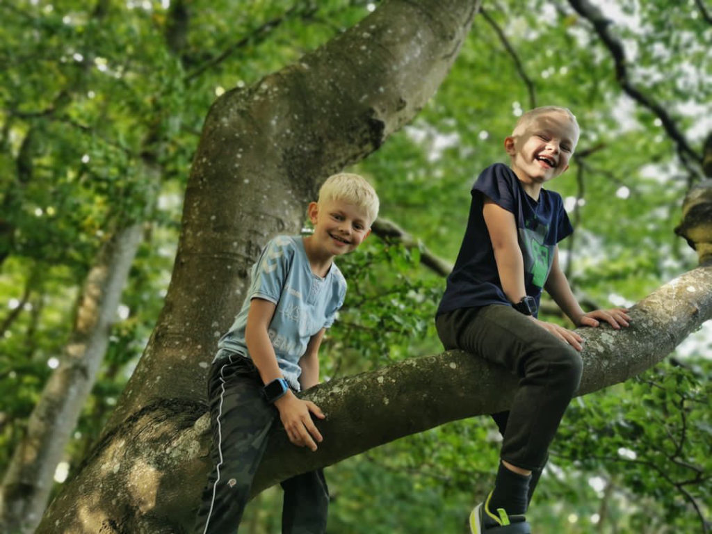 Ekstraordinære Behov