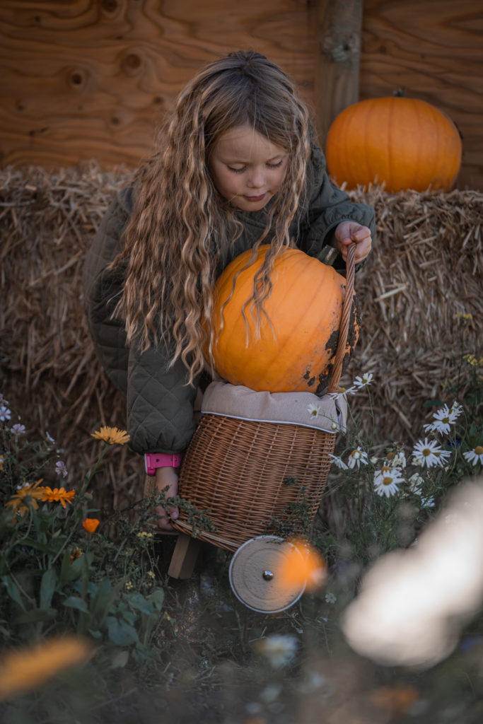 halloween aktiviteter