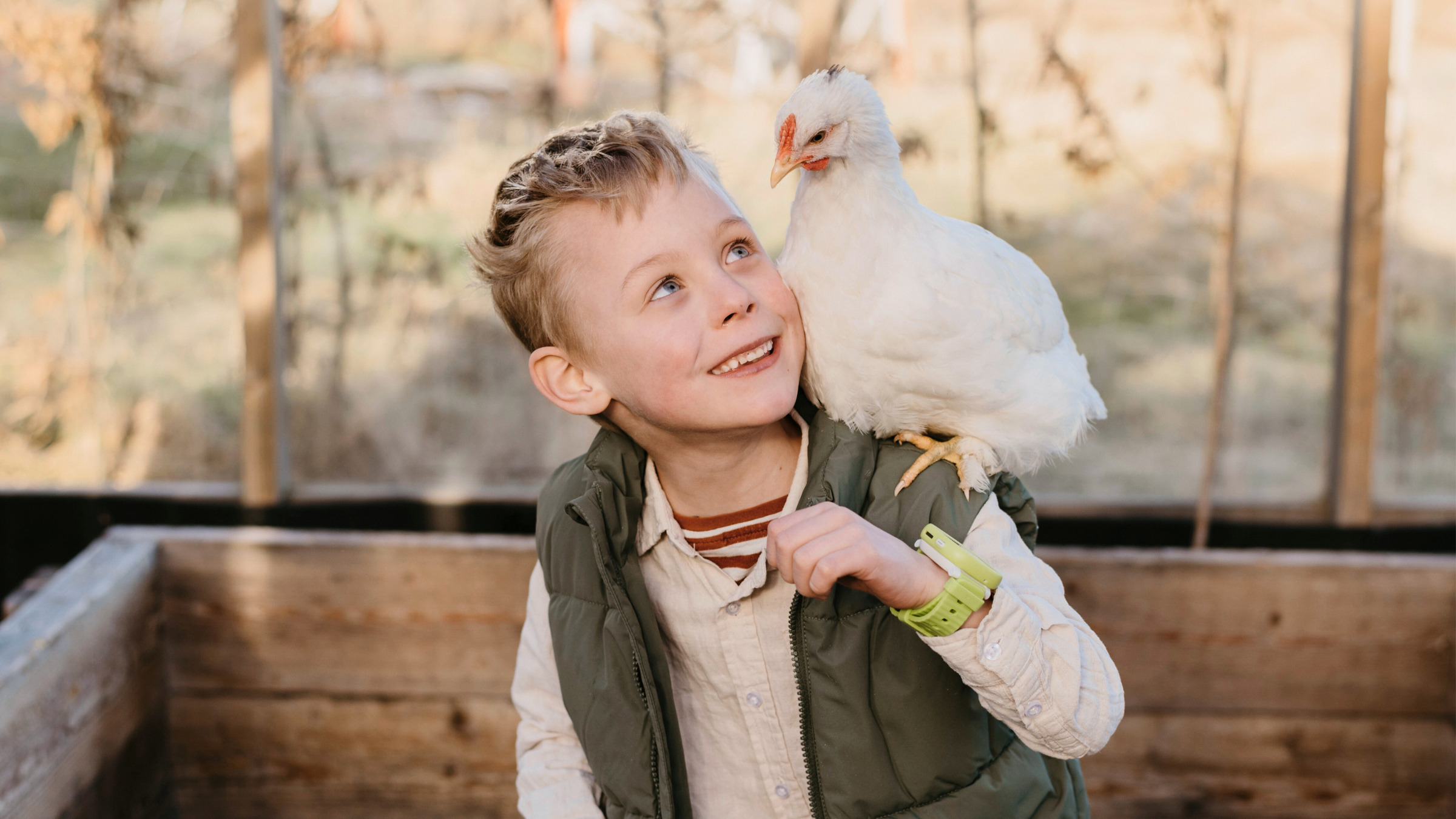 DK NEW Blog banner 2400 × 1350